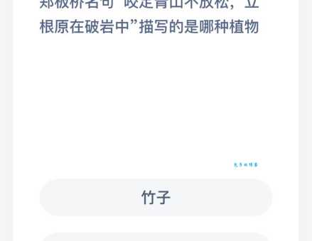 咬定青山不放松描写的是哪种植物 答案揭晓