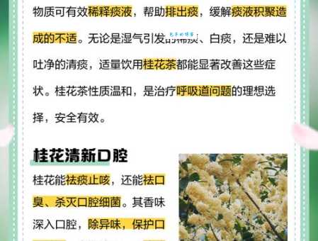 双桂联芳的意思详解 为什么用桂花比喻兄弟高中