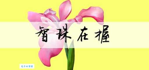 智珠在握的同义词有哪些 近义词反义词全解析