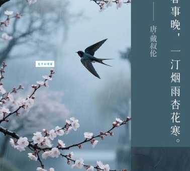 燕子不归春事晚一汀烟雨杏花寒的释义与情感表达