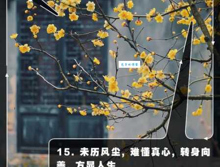 洗尽铅华是什么意思 原来是指卸下华丽妆容回归本真