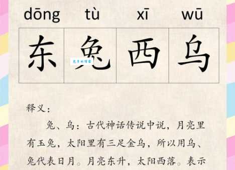 兔起乌沉近义词有哪些 反义词及区别用法解析