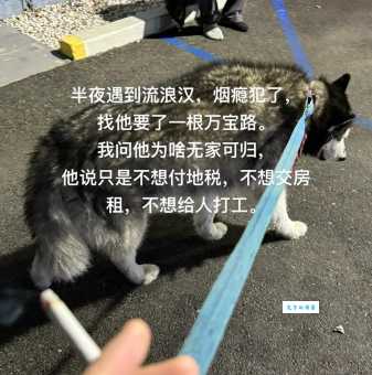 无家是什么意思 为什么有人会无家可归