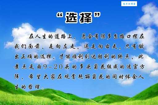 竹筒倒豆子下一句怎么说的 原来后半句这么简单易懂