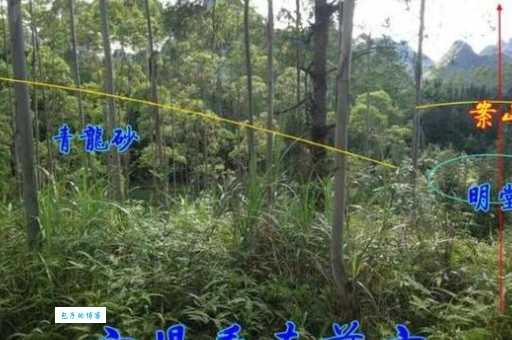 入山是什么意思原来有这么多讲究
