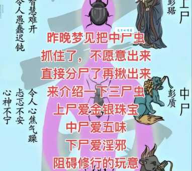 挺尸是什么意思民间说法和科学解释