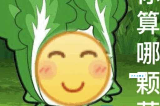 小趴菜是什么意思其实是指生活中这类人
