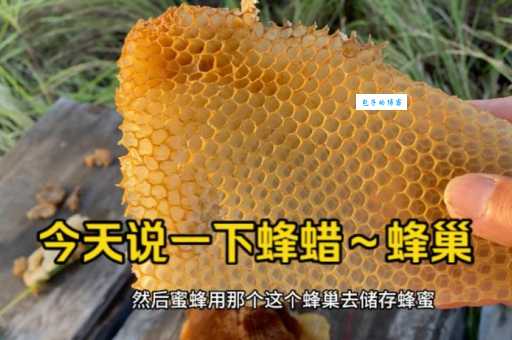 蜂蜡是什么蜜蜂生产的天然物质