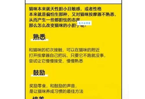 咪头是干什么用的 一篇文章讲清楚它的工作原理