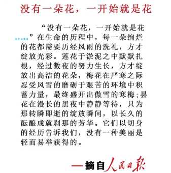 希望之花是什么意思 揭秘这朵花背后的感人故事