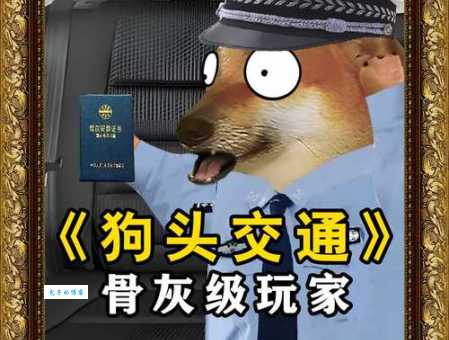 什么叫骨灰级玩家 看看你中了几条标准