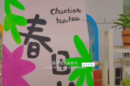 春田花花幼儿园是什么意思名字背后故事