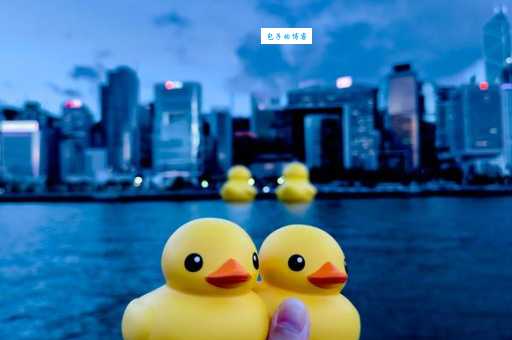 大黄鸭是什么带你了解它的设计灵感与意义