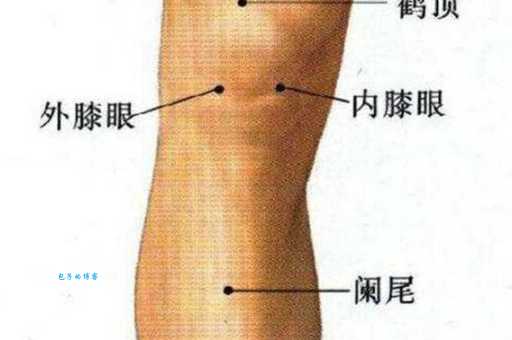 墙壁眼睛膝盖是什么意思原来是这样解释的