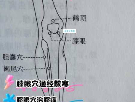 墙壁眼睛膝盖是什么意思原来是这样解释的