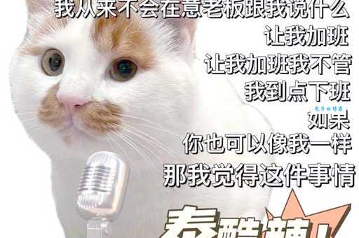 泰酷辣什么网络梗爆火背后有哪些有趣故事