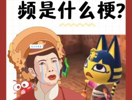埃及猫跳舞是什么意思网友为何疯狂转发这个视频
