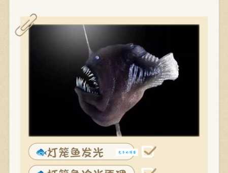 深海鱼发光原理详解 发光原来靠这个器官