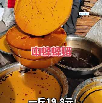 能制造蜂蜡的是什么蜂 蜜蜂王国的秘密武器