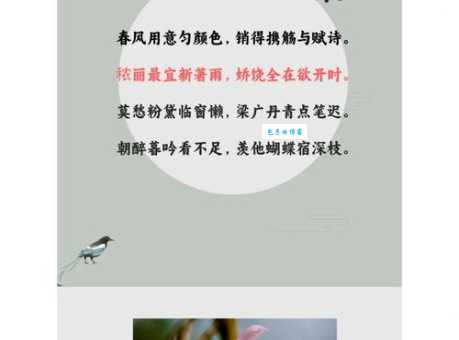 绿肥红瘦中的红瘦指的是什么花古代文人为何独爱它
