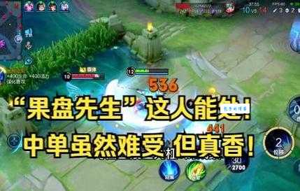 果盘先生是什么意思 为什么大家都这么叫他