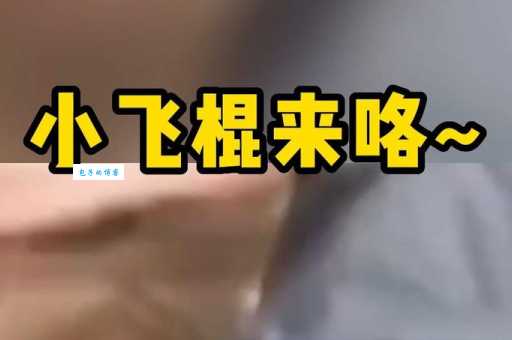 小飞棍来喽梗的来源和流行时间是什么时候