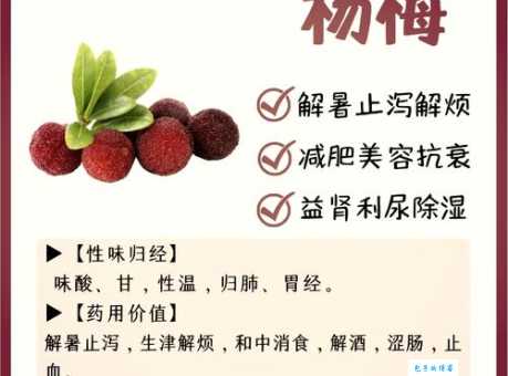 杨梅怎么保存方法让新鲜口感更持久的技巧