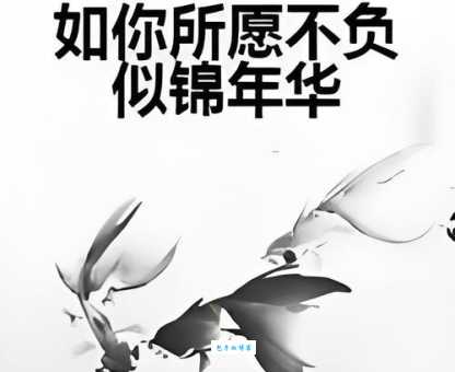 宁负年华不负君什么意思 为什么这句话能打动无数人心