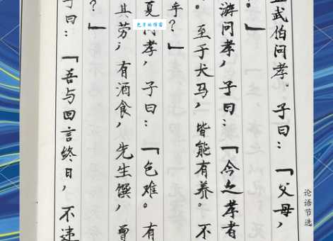 打论语一句门外汉必看的小白入门指南