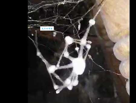 爬灰什么意思原来是指这种常见现象