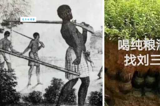刨根儿是什么意思 它的背后有什么有趣故事