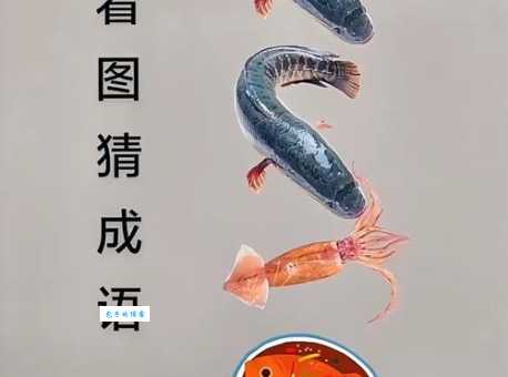 这两块冰下有鲤鱼猜成语答案太有趣了