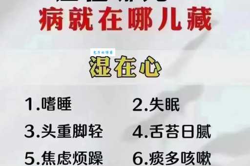 大湿是什么意思 为什么有人被称为大湿