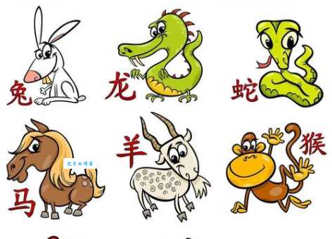 十二生肖谁是一把刀看看哪个属相最厉害