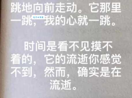 一寸光阴一寸金打一城市这个答案你想到了吗