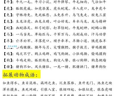 举案齐眉是什么生肖 揭秘成语中的动物密码