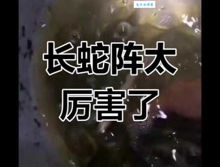 一字长蛇阵是什么意思这种阵法在现代还有用吗