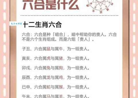 舟车之利是什么生肖 揭秘十二生肖中的交通便利代表