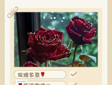 一朵玫瑰代表什么 送人前必看的玫瑰寓意指南