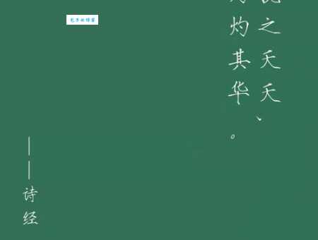 夭夭是什么意思 这个词的来源和用法解析