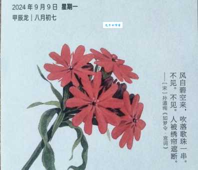 剪秋罗是什么意思这种花的名字背后有什么故事