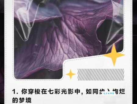 绚丽是什么意思这个词原来这么有魅力