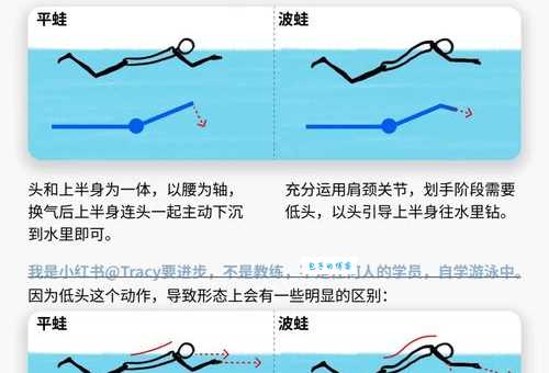 泅水是什么意思和游泳有什么区别吗
