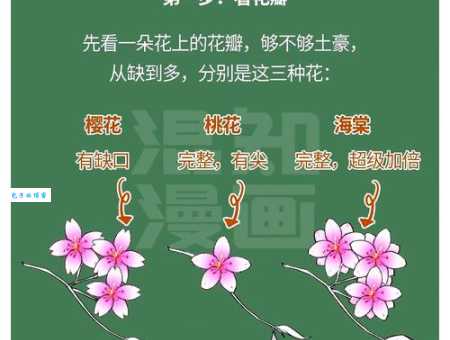 春游一日赏花前打一字谜语解析一看就懂