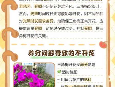 花儿为什么会开 影响开花时间的几个关键点