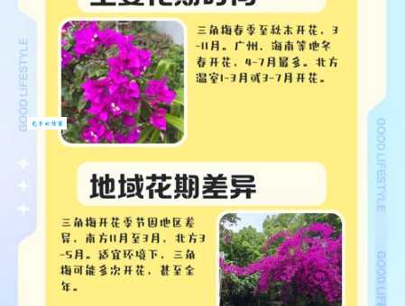 花儿为什么会开 影响开花时间的几个关键点