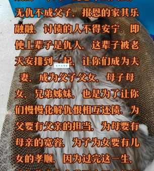 冤有头债有主下一句接什么 完整俗语这样说