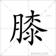 学习膝的拼音和组词 掌握这个字的使用方法