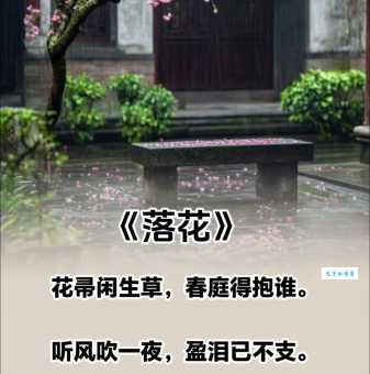 落花有意是什么意思古人为何用落花比喻爱情