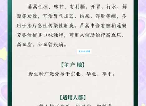 蓬蒿的意思是什么原来这么简单易懂